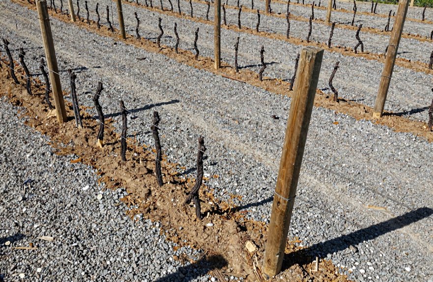 four foot deep brace soil settle check