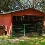 metal vs wood sheds 5 key differences