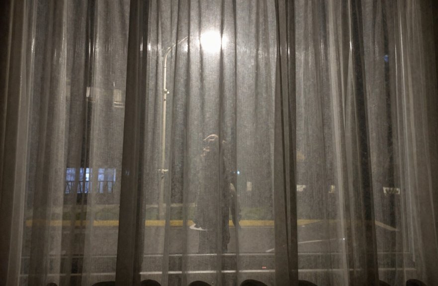 What You See Through Sheer Curtains at Night 4 sheers reveal shadows up close