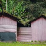 top wooden sheds of 2026