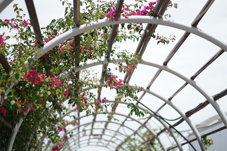 trellis arch construction guide